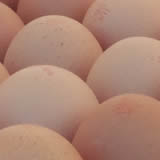Thumbnail for photo 51